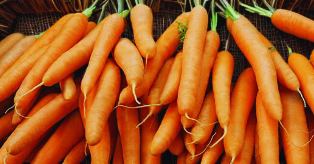 Benefits of Carrots for Health and Nutrition Guide